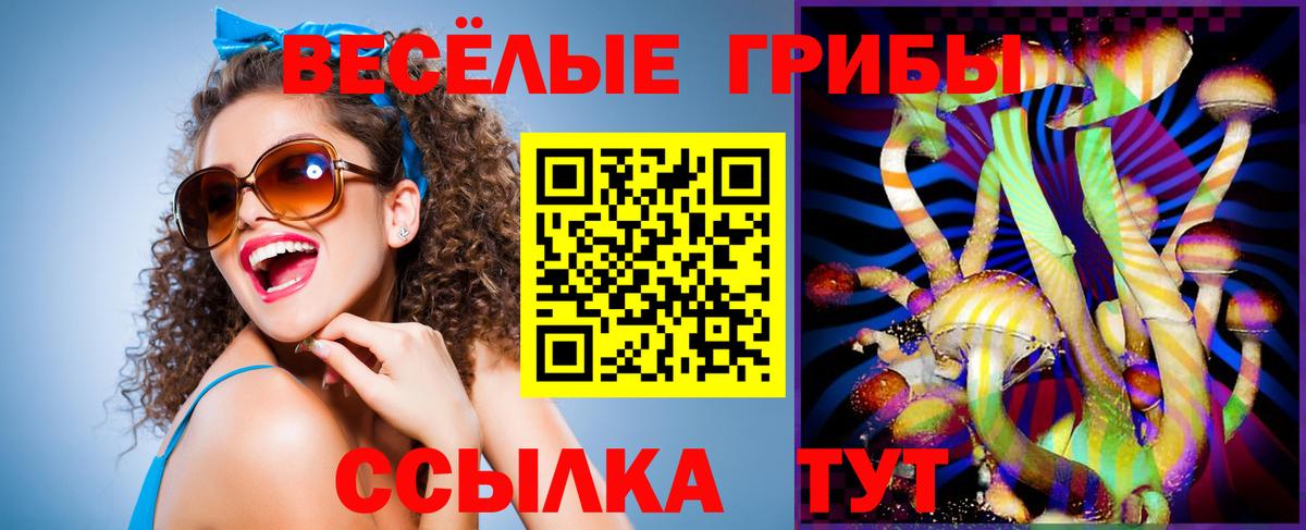 Полевской  Псилоцибиновые грибы Cubensis  Вход с VPN 